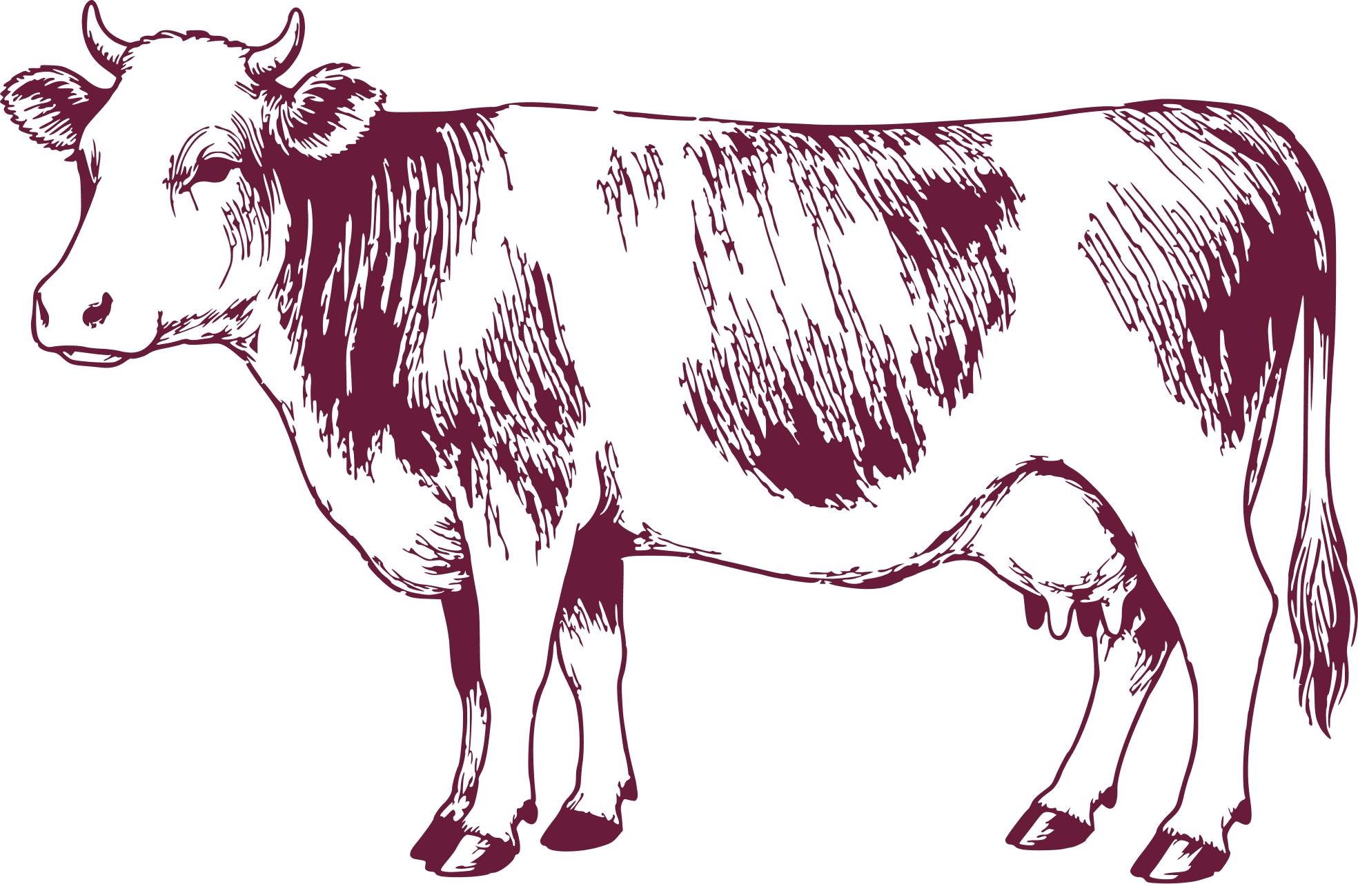 Vaca